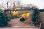 in de tuin